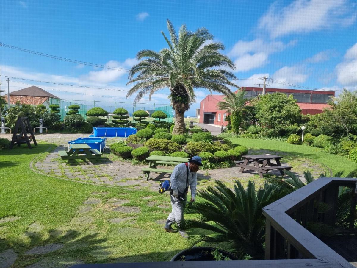 제주 또올레 펜션 외부 사진