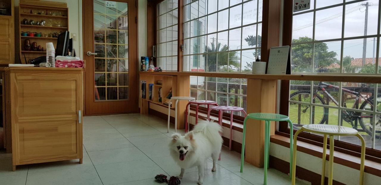 제주 또올레 펜션 외부 사진