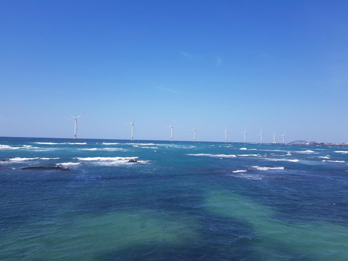 제주 또올레 펜션 외부 사진